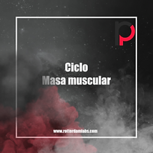 Rotterdam muscle mass cycle 6 substances