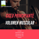 Bulking Cycle for Beginners