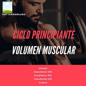 Bulking Cycle for Beginners