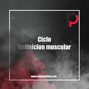 Muscle definition cycle Rotterdam 6 substances